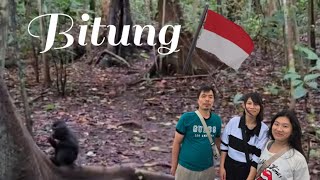Download Mp3 #206# Exlporing Bitung, North Sulawesi, Indonesia 🇮🇩  Gudang lagu Download Mp3 #206# Exlporing Bitung, North Sulawesi, Indonesia 🇮🇩