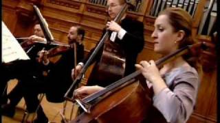 Rimsky Korsakov Flight of the Bumblebee Rachlevsky Chamber Orchestra Rimsky Korsakov Flight of the Bumblebee Rachlevsky Chamber Orchestra