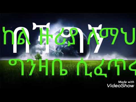 ቪዲዮ: በችግኝ ማሰሮው ውስጥ ምን አለ?