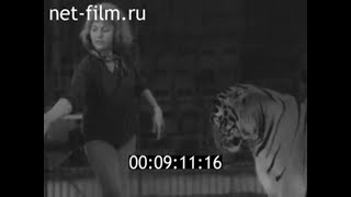 1964г. Ярославль. цирк. Лидия Жига, румынская  дрессировщица
