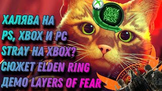 STRAY на XBOX | Дата релиза LAYERS OF FEAR | Сюжет ELDEN RING | ХАЛЯВА на PS, XBOX, PC