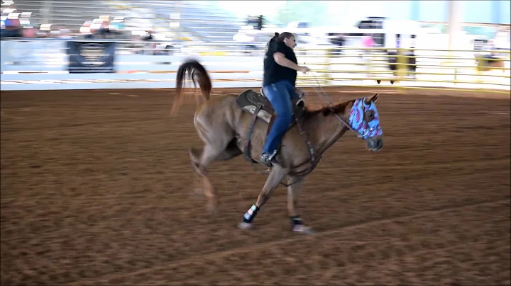 Mary Odom & Silent Fury