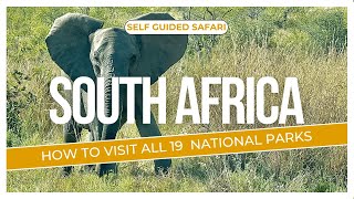 SOUTH AFRICA Travel Guide: How To Experience All 19 National Parks