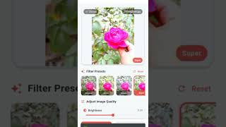 Pixmodi - Smart File Converter | Convert Image to PDF, PNG, JPG &amp; More | Free AndImageToPDF