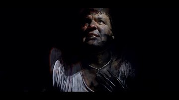 Formless Reflection - Cerberus Effect (Official video)