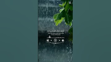 🤲 #القرآن_الكريم #cute تلاوة عطرة من الذكر الحكيم لا حزن يبقى والقرآن يتلى #duet #اكسبلور