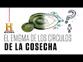 Los CÍRCULOS DE LA COSECHA | Canal HISTORIA | Draw My Life