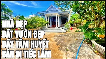 Anh Thi lâm vào cảnh nợ nần chồng chất không có khả năng trả nợ nên cần bán căn nhà tâm huyết
