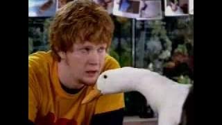 Aflac - Pet Shop (2005, USA)
