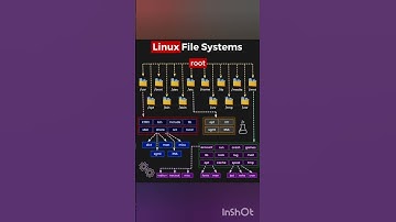 Linux file system. #devops #linux #file #system