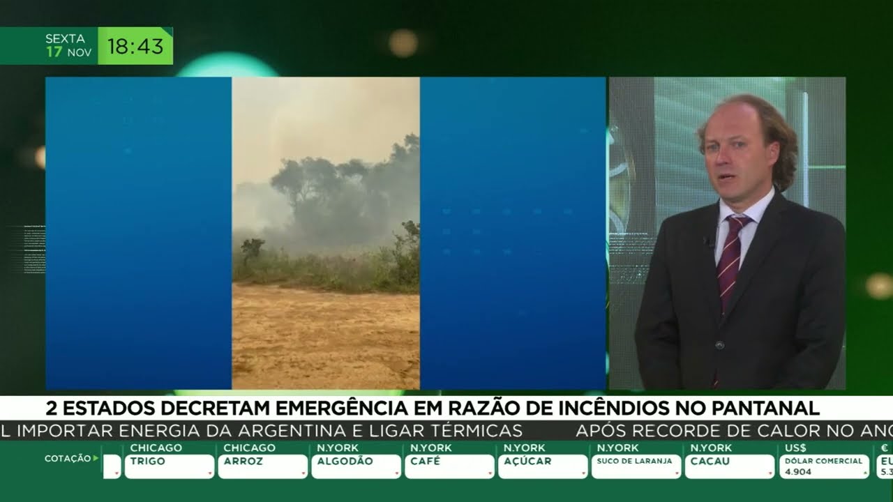 2 estados decretaram emergência em razão de incêndios no pantanal