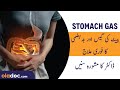 Pait Ki Gas Ka Elaj - How To Treat Stomach Gas Ka Ilaj Urdu Hindi -Stomach Gas Relief Acid Reflux