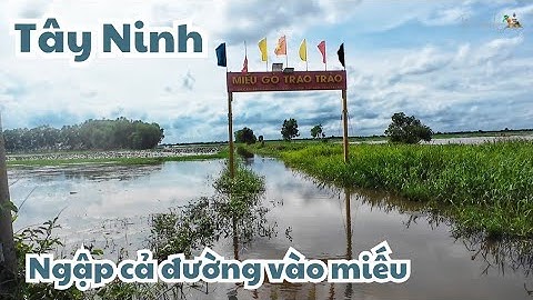 Khám phá Miếu gò Trao Trảo ven sông Vàm cỏ Tây Ninh mùa nước nổi