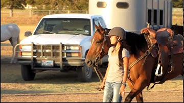 Valley View Ranch - Nip - walking up from trailer at playday