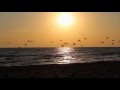 Музыка для души... Parijat - Most Beautiful Splendour (Lukas Termena mix)