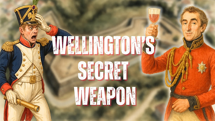 Was This Wellington's Most INGENIOUS victory?