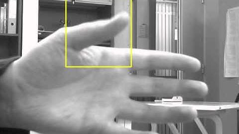 Motion detection demo