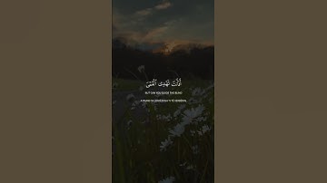  ﴿أفأنت تهدي العمي ولو كانوا لا يبصرون﴾ 🎧🫀تلاوة خاشعة القارئ عبدالرحمن مسعد #قرآن #quran#راحة_نفسيه