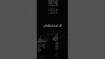 اكتب شيء تؤجر عليه ❤️🎧 #القارئ فارس عباد