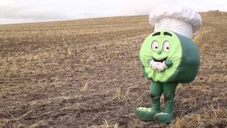 Dan D. Pea Celebrates National Split Pea Soup Week