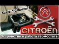 Работа термостата системы охлаждения автомобиля