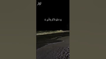 آيات من سورة الليل | بصوت القاردئ مشاري العفاسي | #اكسبلور #المصحف #القرآن_الكريم #لايك #سورة_الليل