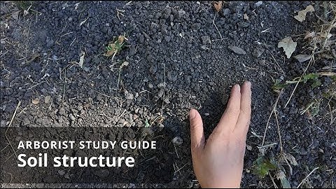 Soil structure | Soil Science