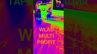 #music #wlad_multi_profit #ГАРМОНИЗАЦИЯ