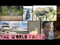 The world facts  official trailer  myk production  the world facts 