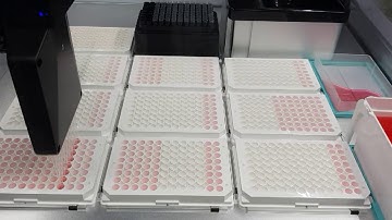 OpenTrons OT-2 Pick and Serially Dilute Front View
