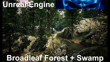 Realistic Forest Scene / Unreal Engine 4 / No Speed Level Design / MAWI United GmbH