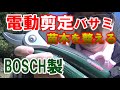 ［スギ山をカボス畑に開拓＃7］電動剪定バサミで植えたカボスと柚子の苗木を整える！1