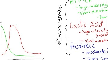 Interplay of Energy Systems