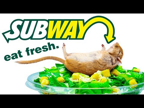 Top 10 Things Subway DOESN&rsquo;T Want You To KNOW!