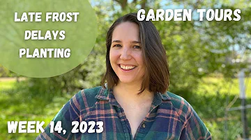 I'm glad I didn't plant tomatoes (yet) | Garden Tour WEEK 14, 2023