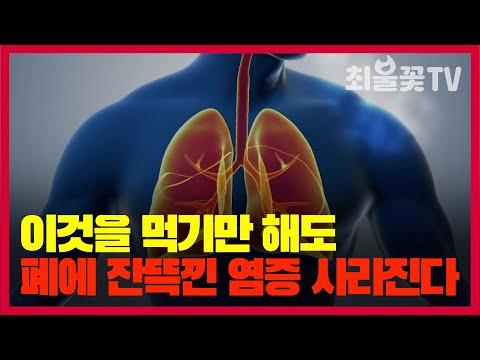 이 음식을 먹기만해도 폐에 염증이 싹 사라진다 폐에 좋은 음식