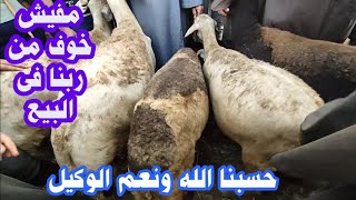 عليه العوض الناس دى بتستهبل فى الاسعار  وفى الاخر يروحو بالغنم وزعلانين sheep