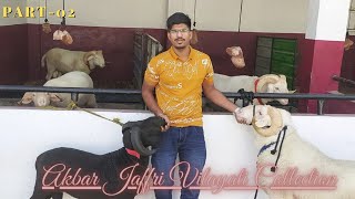 Jaffri ka Nayaab Shok | Best Quality Vilayati in Hyderabad 9666050348