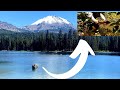 Catching Trout in the crystal clear waters at Lassen Volcanic National Park
