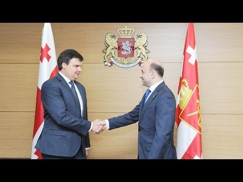 ლიტვის თავდაცვის მინისტრის მოადგილე თავდაცვის სამინისტროში