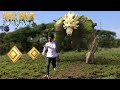 Temple Run 2 Lost Jungle In Real Life !