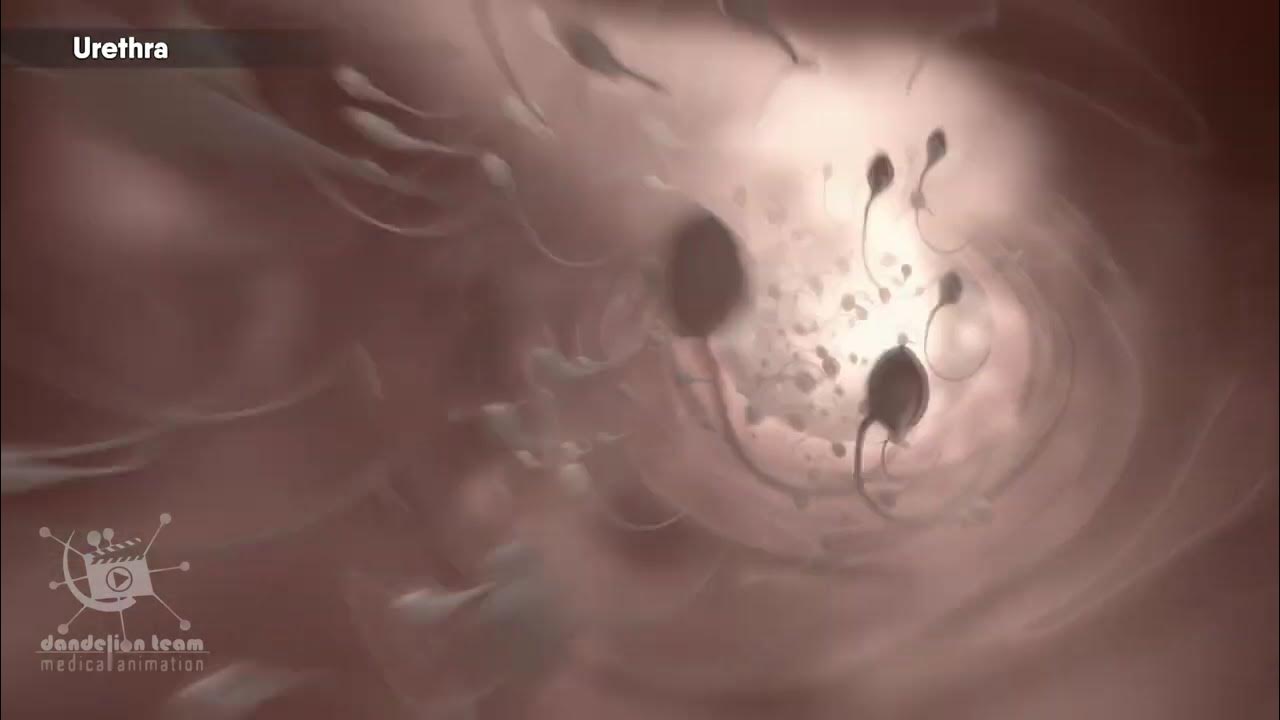 Kochada fohishani olib ketish