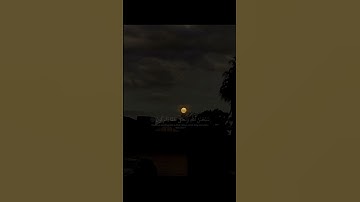 اذكر الله|سورة القصص الآية 70-67 القارئ ياسر الدوسري #قرآن #ياسر_الدوسري #اكتب_شي_تؤجر_عليه #اكسبلور