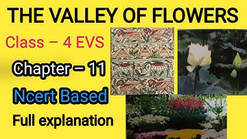 The Valley of Flowers Chapter 11 Class 4 EVS Ncert