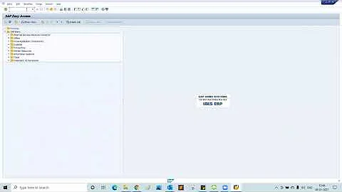 SAP User Administration - SU01