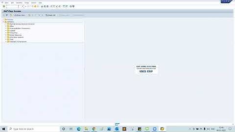 SAP User Administration - SU01