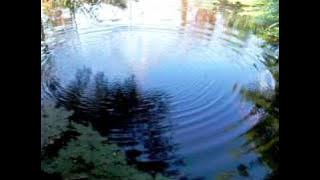 Ripples on a pond