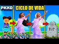 CICLO DE VIDA DE ISABELLA DE ENCANTO LA PELICULA EN PK XD *NALA 💕