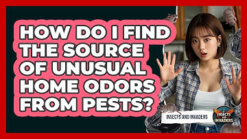 How Do I Find The Source Of Unusual Home Odors From Pests? - Insects and Invaders