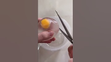 Thumbnail of EXPERIMENT ANCURIN STRESS BALL TOMAT CHECK 🍅